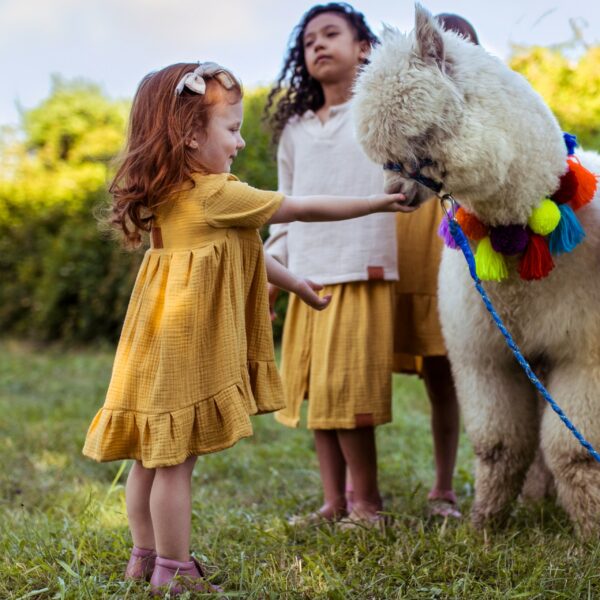 Muślinowa musztardowa sukienka