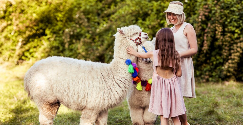 Mama i córka ubrane w takie same letnie, muślinowe sukienki głaszczą alpaki